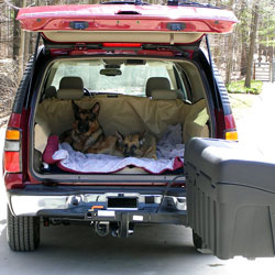 StowAway Dogs