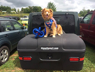 Dog in costume sitting on StowAway MAX Cargo Carrier