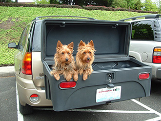 Two dogs hanging out in a StowAway Standard Cargo Carrier on GMC Envoy