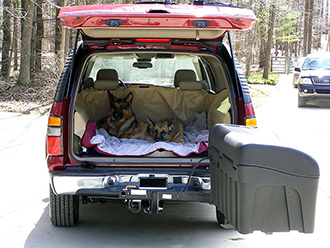 Two dogs laying in back of SUV with StowAway Standard Cargo Carrier swung out