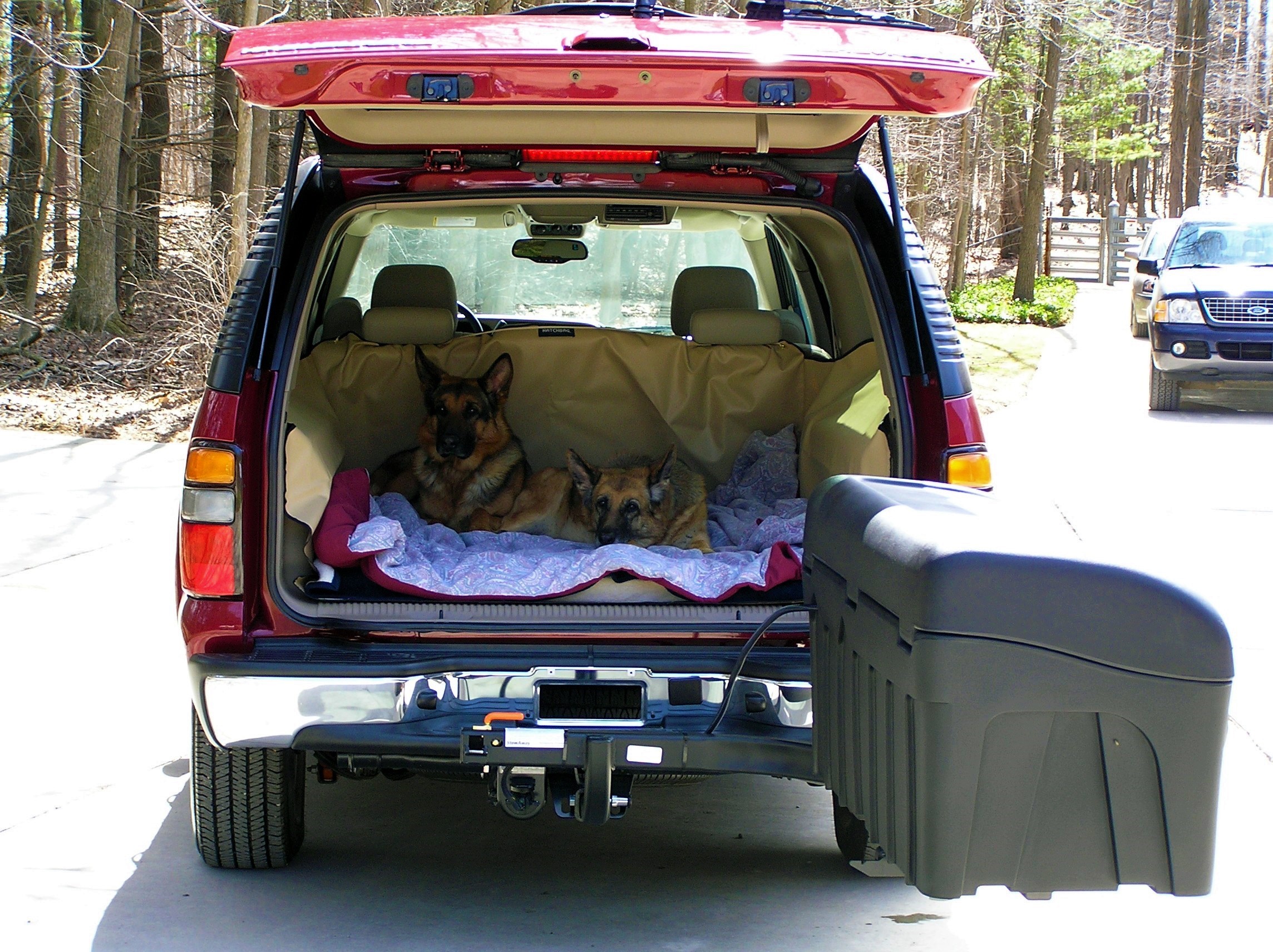 Swingaway Frame Open with Dog