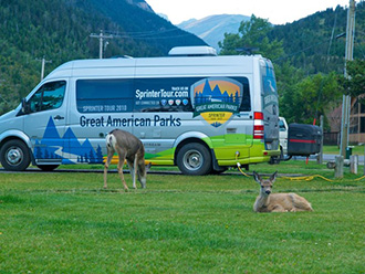 Deer grazing in front of Mercedes Sprinter van with StowAway MAX Cargo Carrier